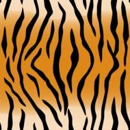 clipart,tiger skin in painted condition