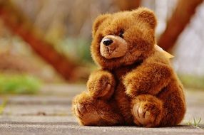 brown teddy bear on a trail in the park
