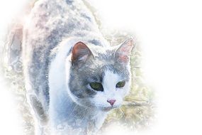 drawn domestic gray-white cat at colorful background