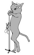 Grey kitty singing
