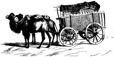 cart with camels as picture