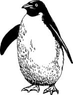 black and white drawing of an antarctic penguin