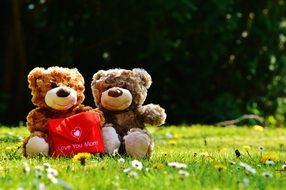 teddy bear with a red bag on a green grass