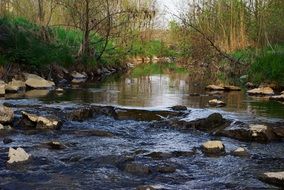 River Water Bach
