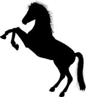 Horse silhouette clipart