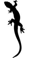 Gecko Lizard black silhouette