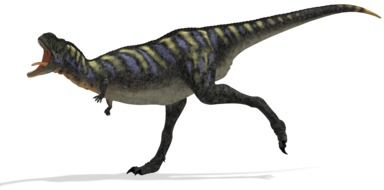 aucasaurus from the dinosaur range