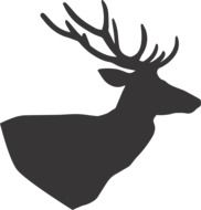 black silhouette of a deer on the white background