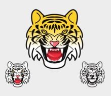 tiger heads as an illustration