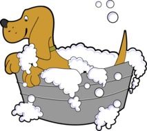 graphic image of a dog while bathing