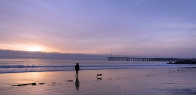 Woman and Dog on Beach at Sunset