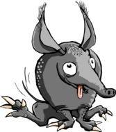Grey armadillo