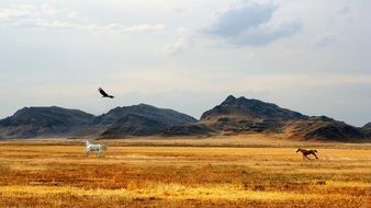 Colorful running horses and flying bird on the colorful field near the mountains