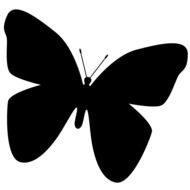 Black Butterfly silhouette