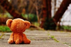 back view of teddy bear sitting on asphalt