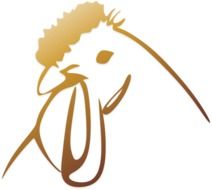 Poultry Head as a logo