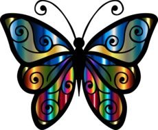 abstract rainbow butterfly image