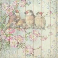 four birds on blooming branch, decorative wallpaper