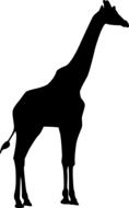 black silhouette of Giraffe, side view