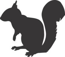 Squirrel Silhouette