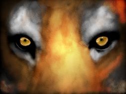 Eyes of the tiger clipart