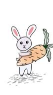 graphic image of a rabbit with a big carrot