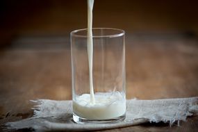 filling a glass of milk
