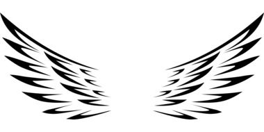 Black angel wings on the white background