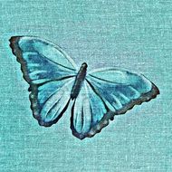 turquoise Butterfly fabric Tissue close-up