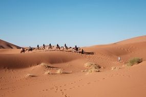 caravan in the desert on a sunny day