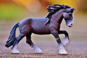 Horse Fig