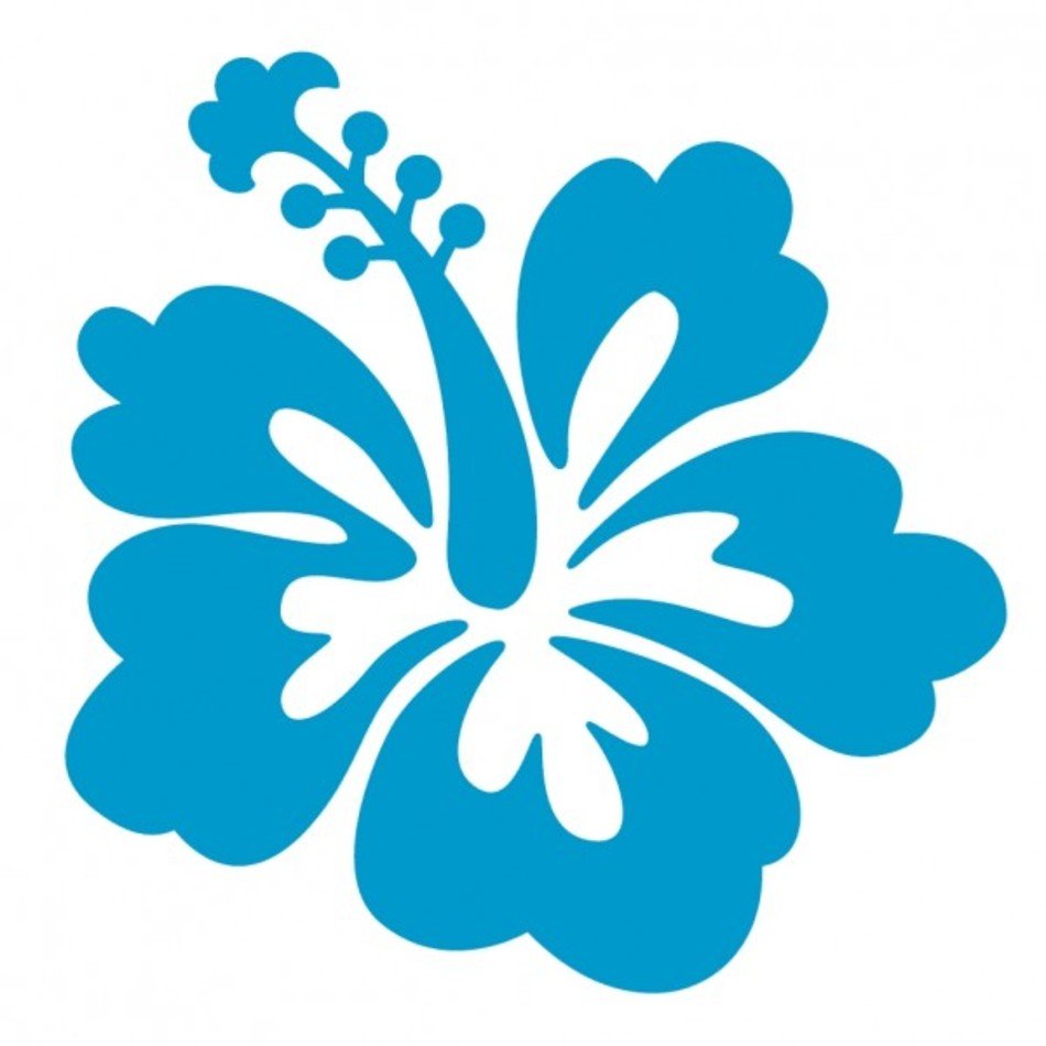 Blue Hibiscus Flower Frees That You Can Download To