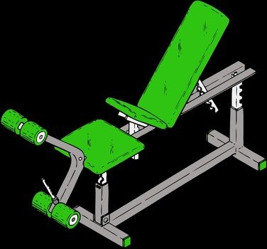 Exercise Bench Vector N2
