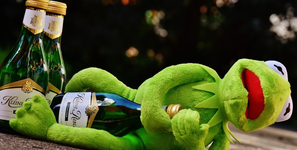 Drunk frog after the party