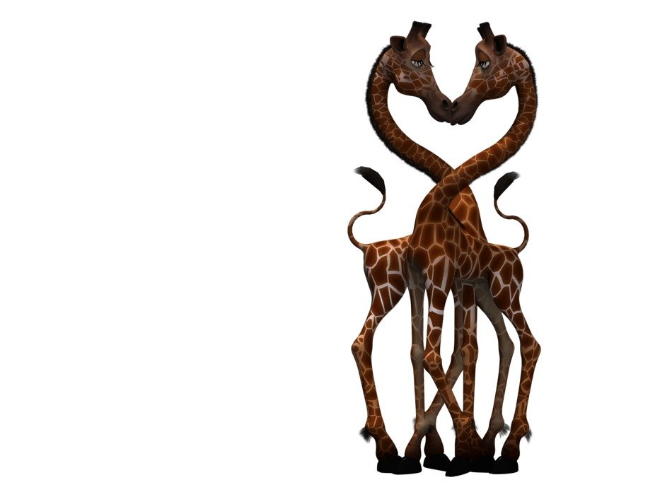 giraffes on a white background in digital art