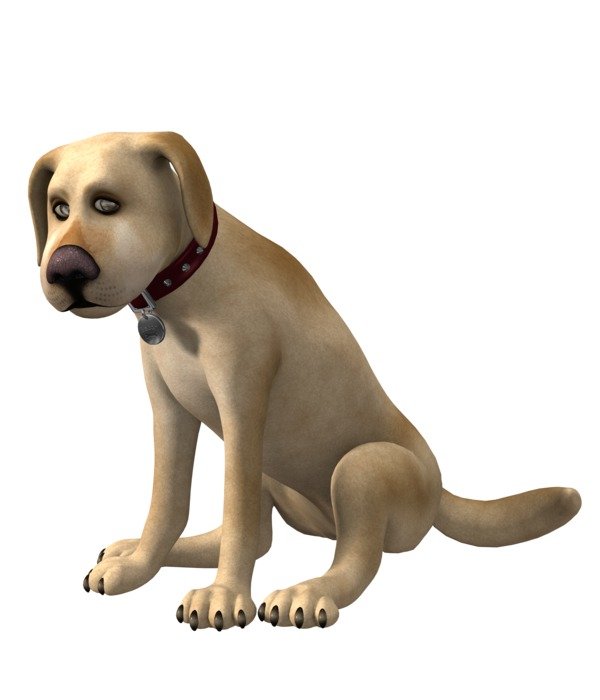 graphic image of a dog with a collar