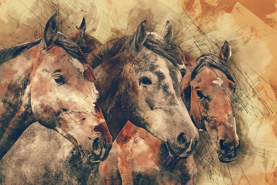 beautiful drawing of three horses