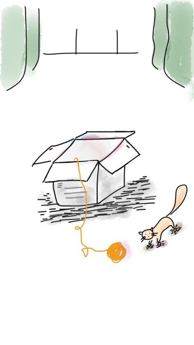 sketching about the cat and the box