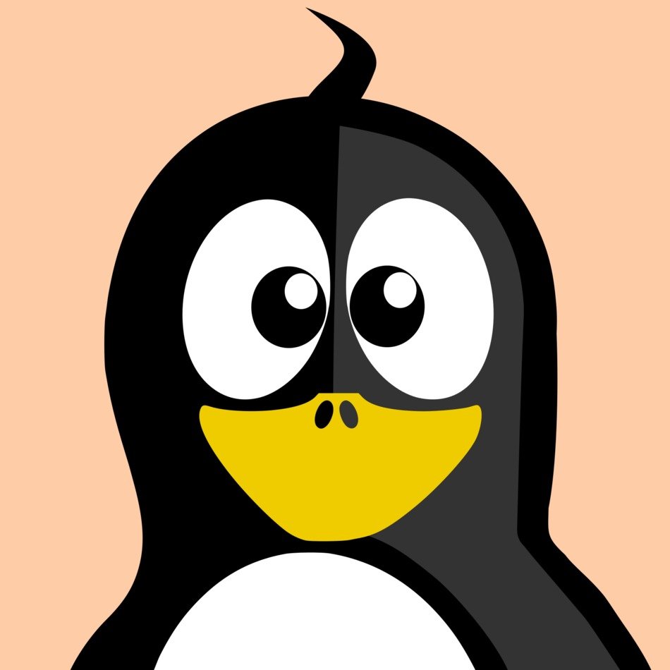 penguin on a pink background as a picture