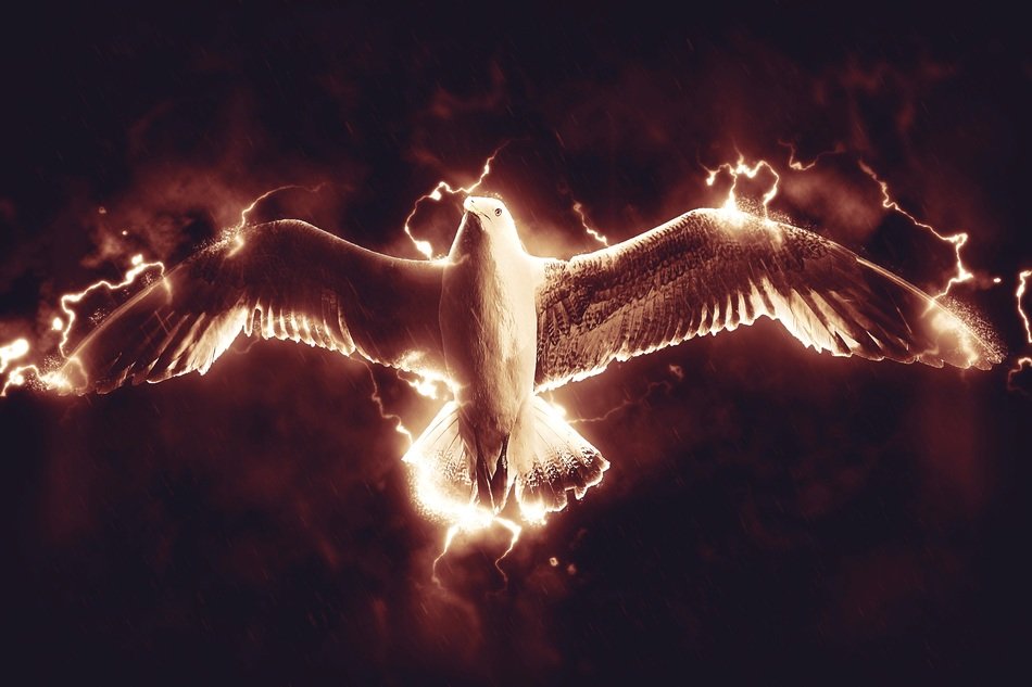 gull and lightning, energy, concept drawing