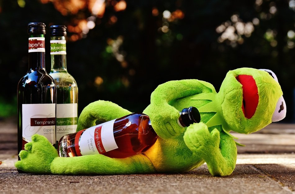 soft kermit with wine bottle