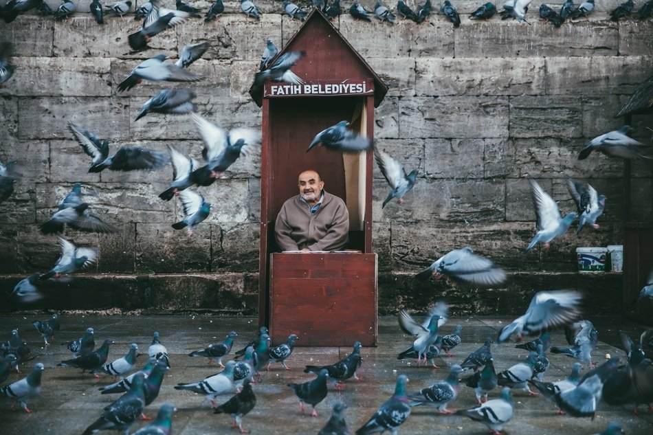 old man in booth surrounded with pigeons