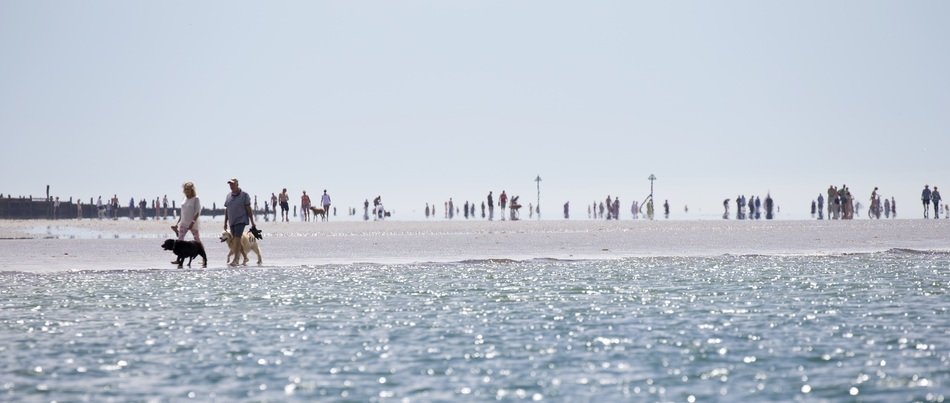 dog lovers walk along the coast