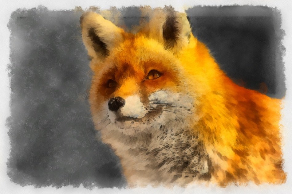 Painting of the fox
