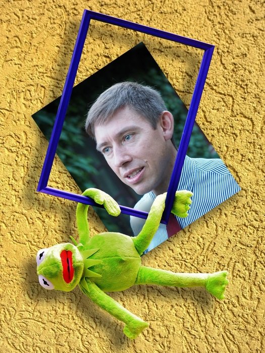 soft frog near the photo frame