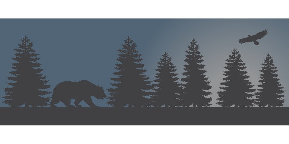 Bear in Forest poster drawing