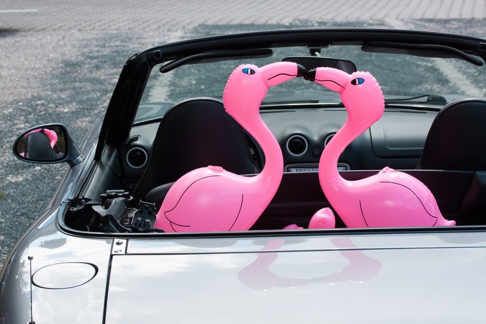 pink air flamingo