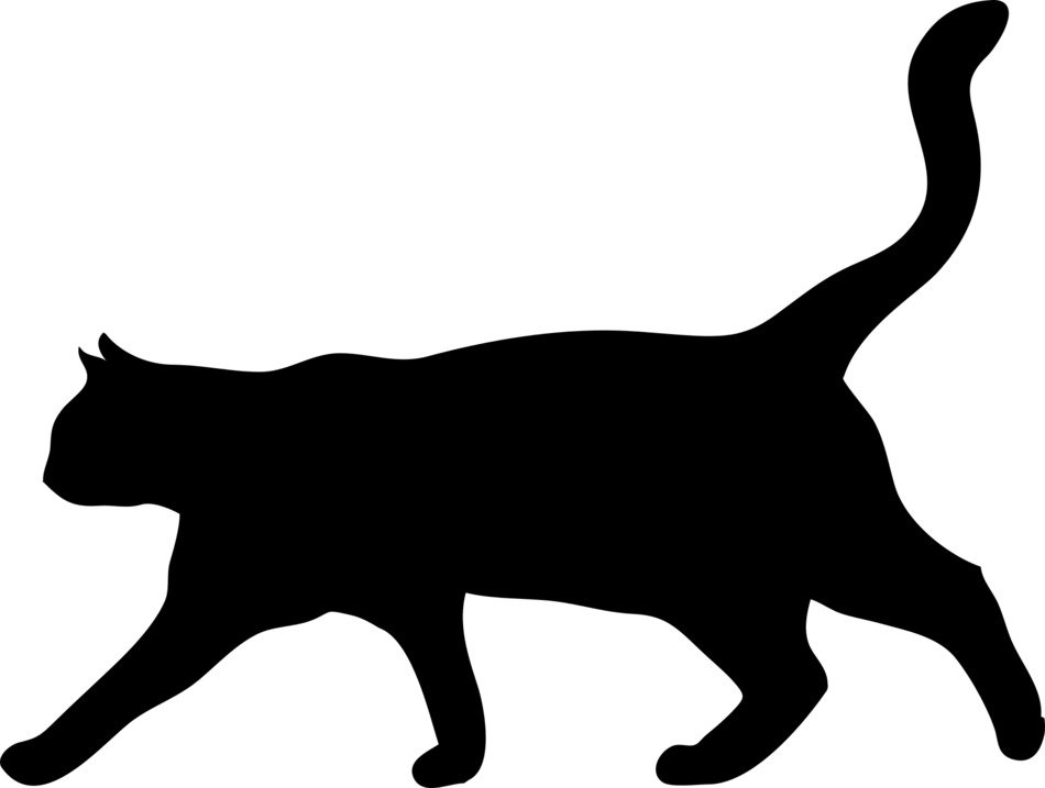 magnificently beautiful Cat Silhouette drawing
