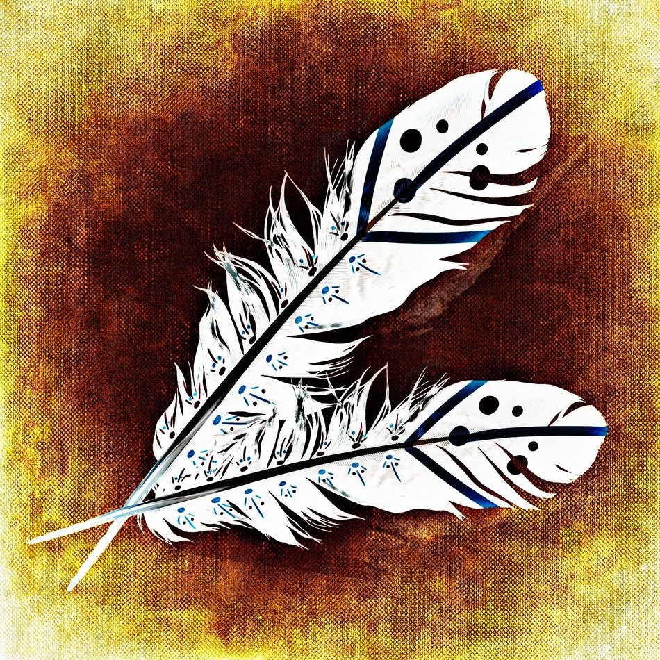 drawing of feathers
