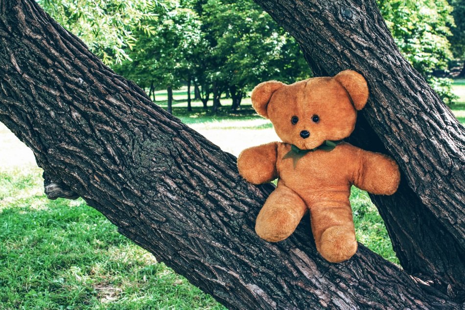 plushy teddy on the tree